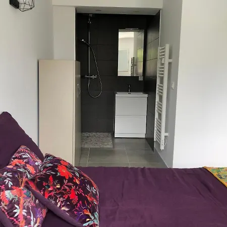 Holiday home Bella A 250m Des Plages Biarritz