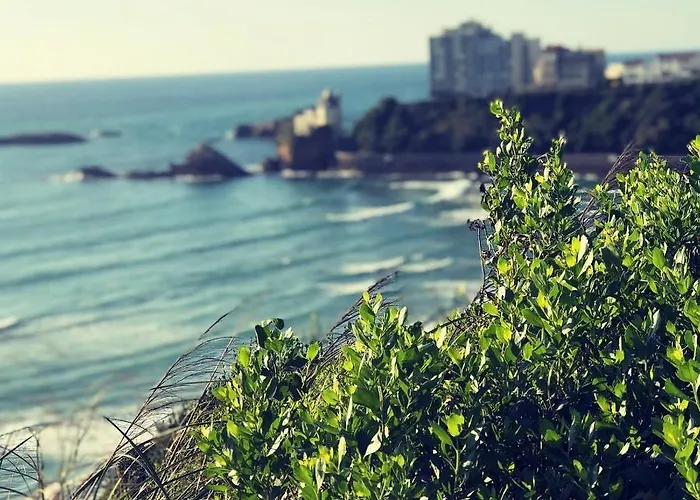 Holiday home Bella A 250m Des Plages Biarritz