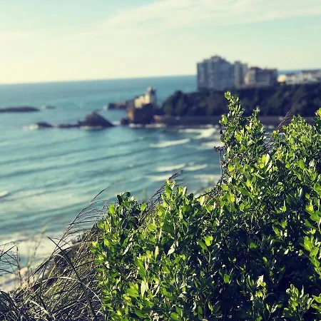 펜션 Bella A 250m Des Plages 비아히쯔